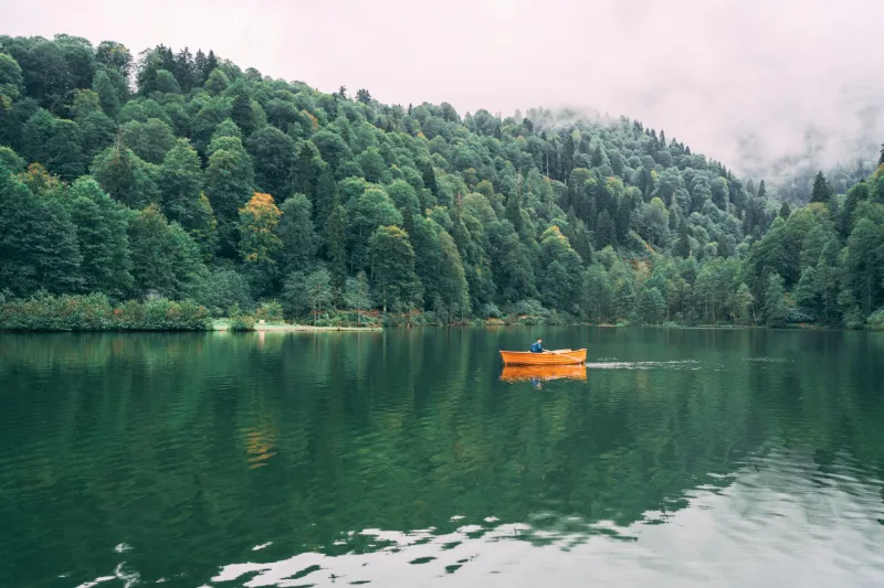 Artvin Seyahat Rehberi 2026: Vadilerin ve Yaylaların Büyüsüne Kapılın